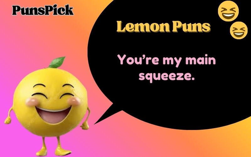 Lemon Puns