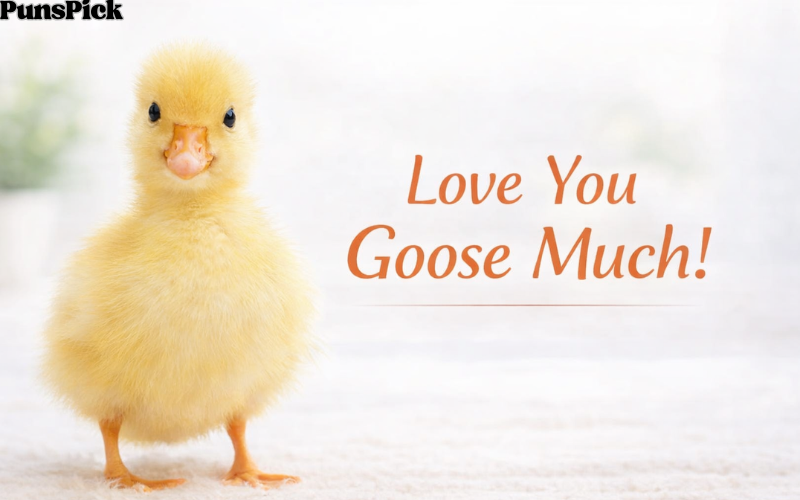 Goose Puns