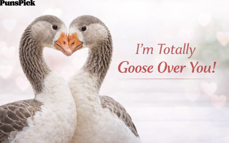 Goose Puns