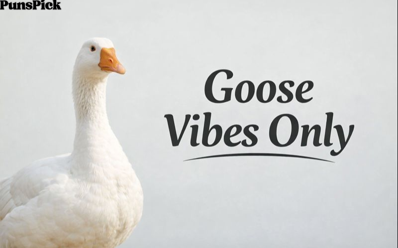 Goose Puns
