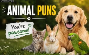 Animal Puns