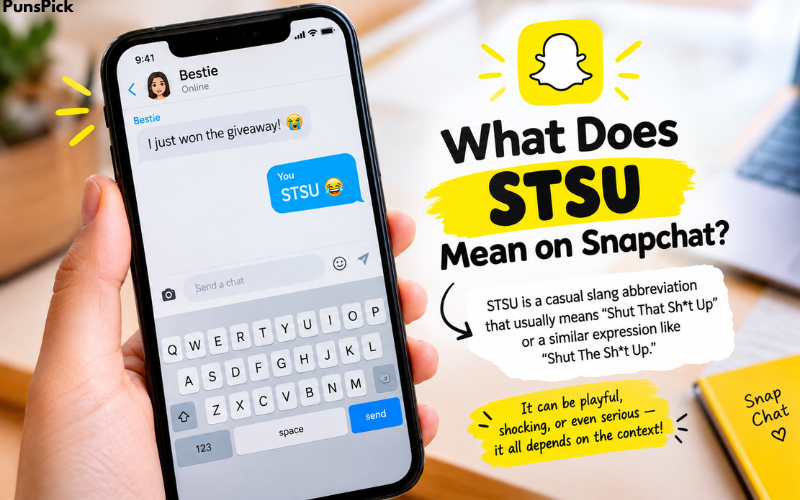 What Does STSU Mean
